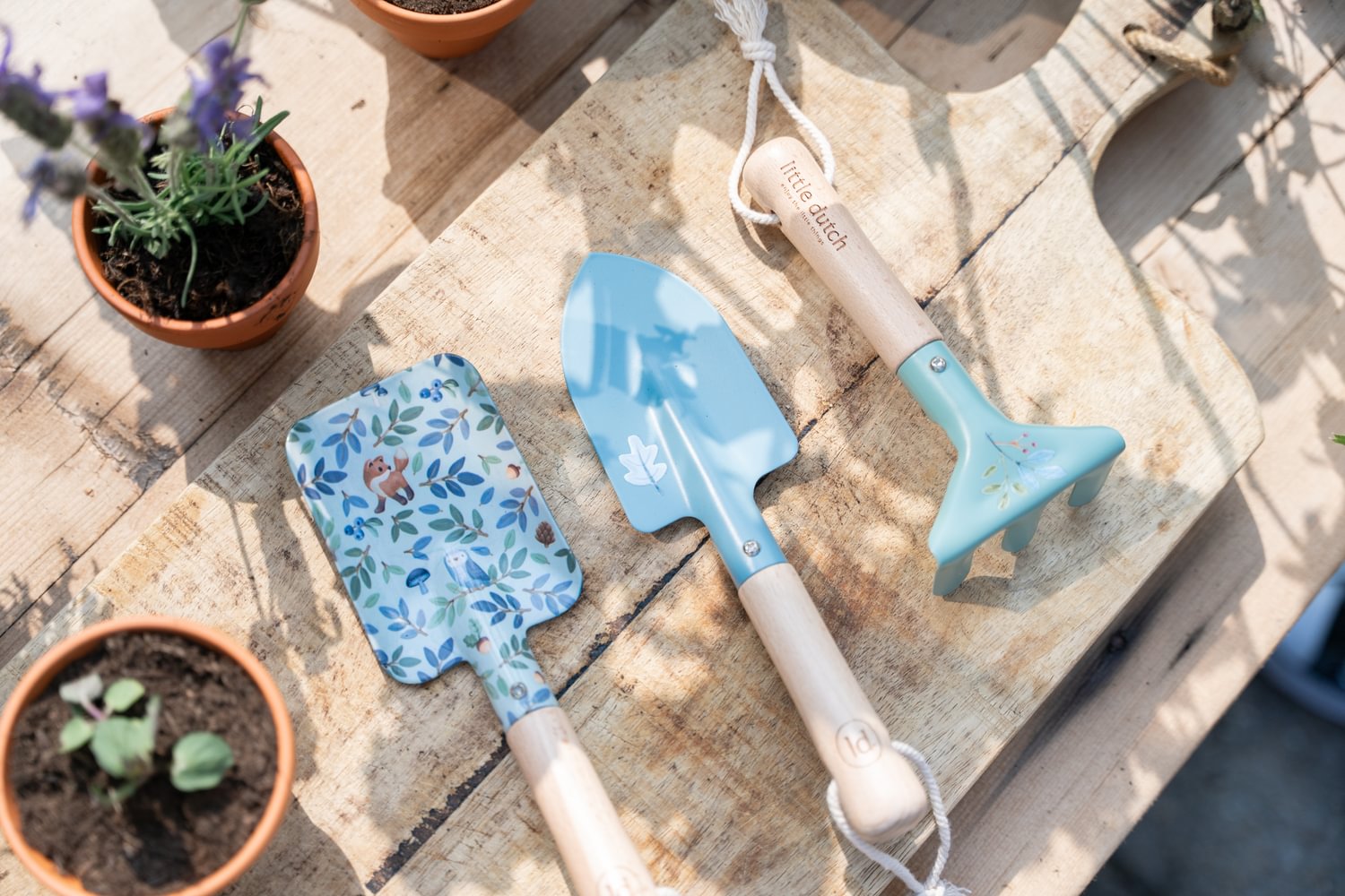 Garden Tools | Blue