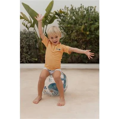 3D Beach Ball | Whale