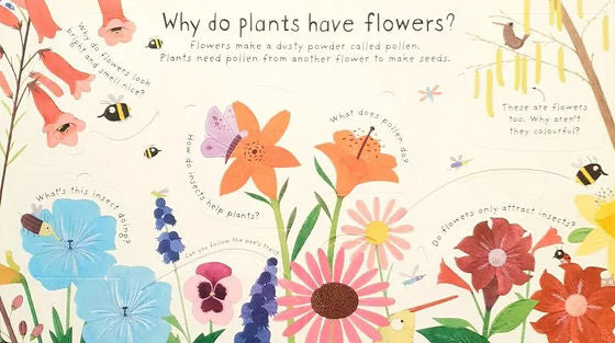 ספר כיסויים שאלות ראשונות - איך צומחים פרחים?