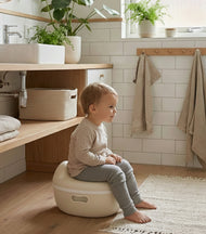 3-in-1 Potty