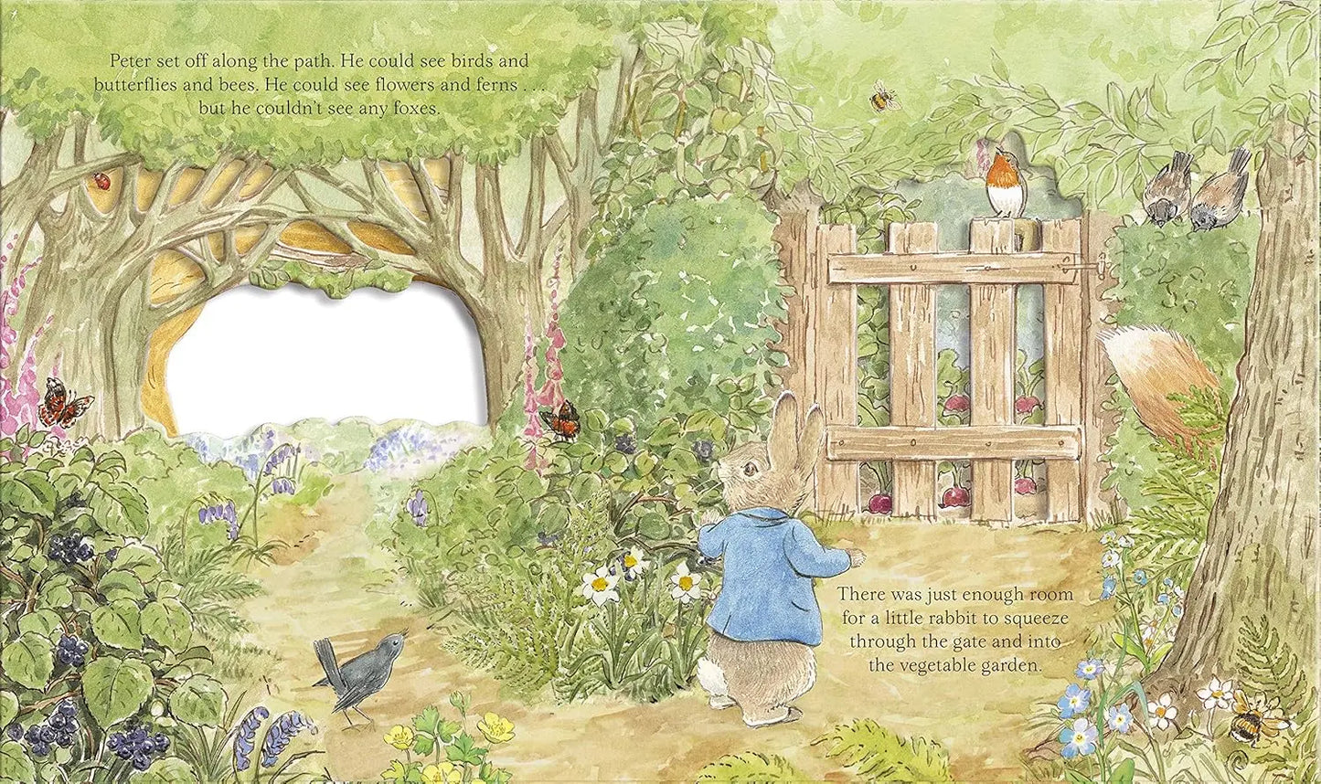 Cardboard Book – A Glimpse into the Story of Peter Rabbit