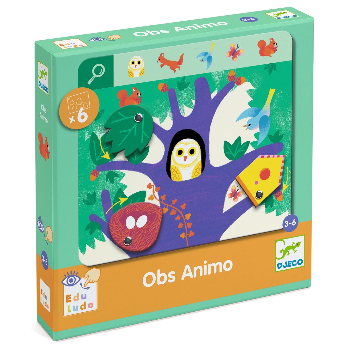 Studies - Search and Find