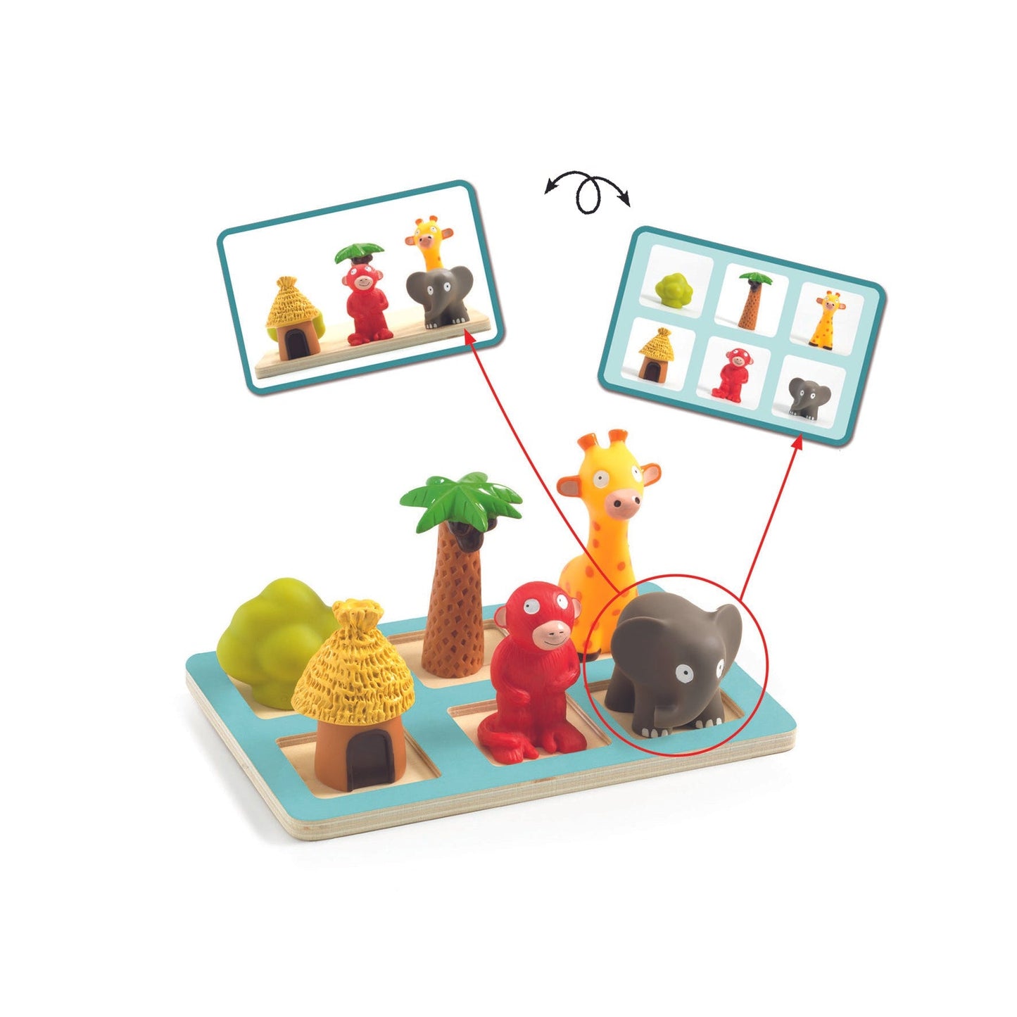 Studies - Understanding the Space Safari