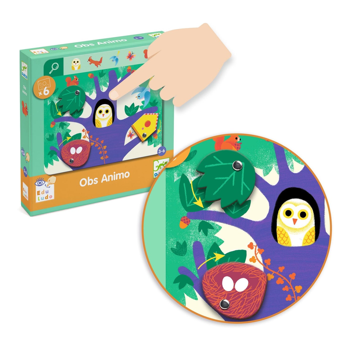 Studies - Search and Find