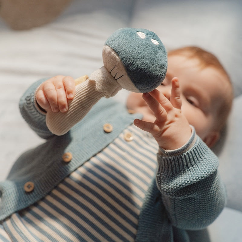 פטריית רעשן