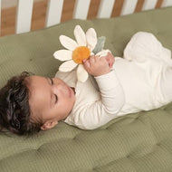 רטל פלאוור ליטל פארם