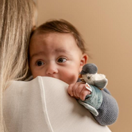 צמיד רעשנים מפרץ המלחים