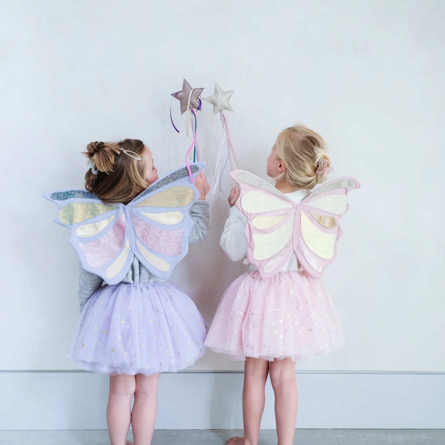 Emmelina fairy wings - little prince