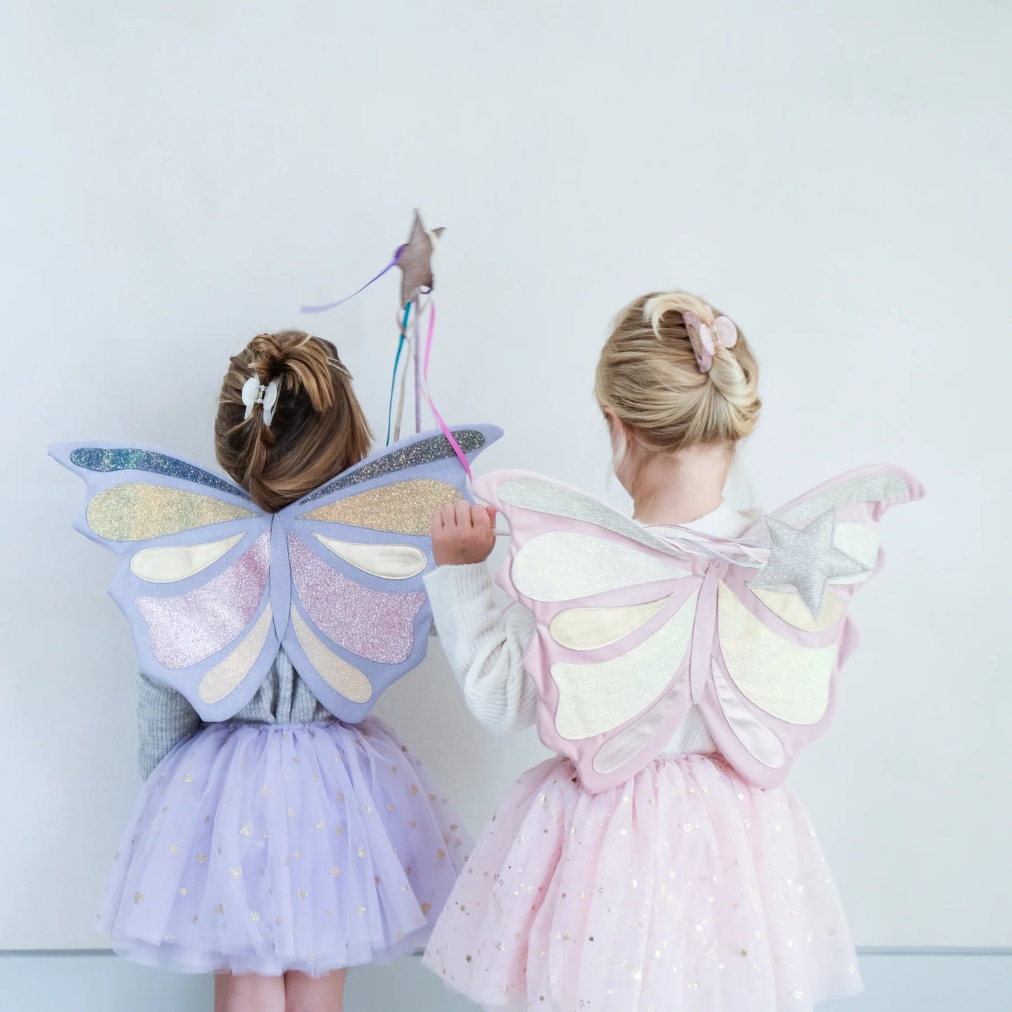 Emmelina fairy wings - little prince