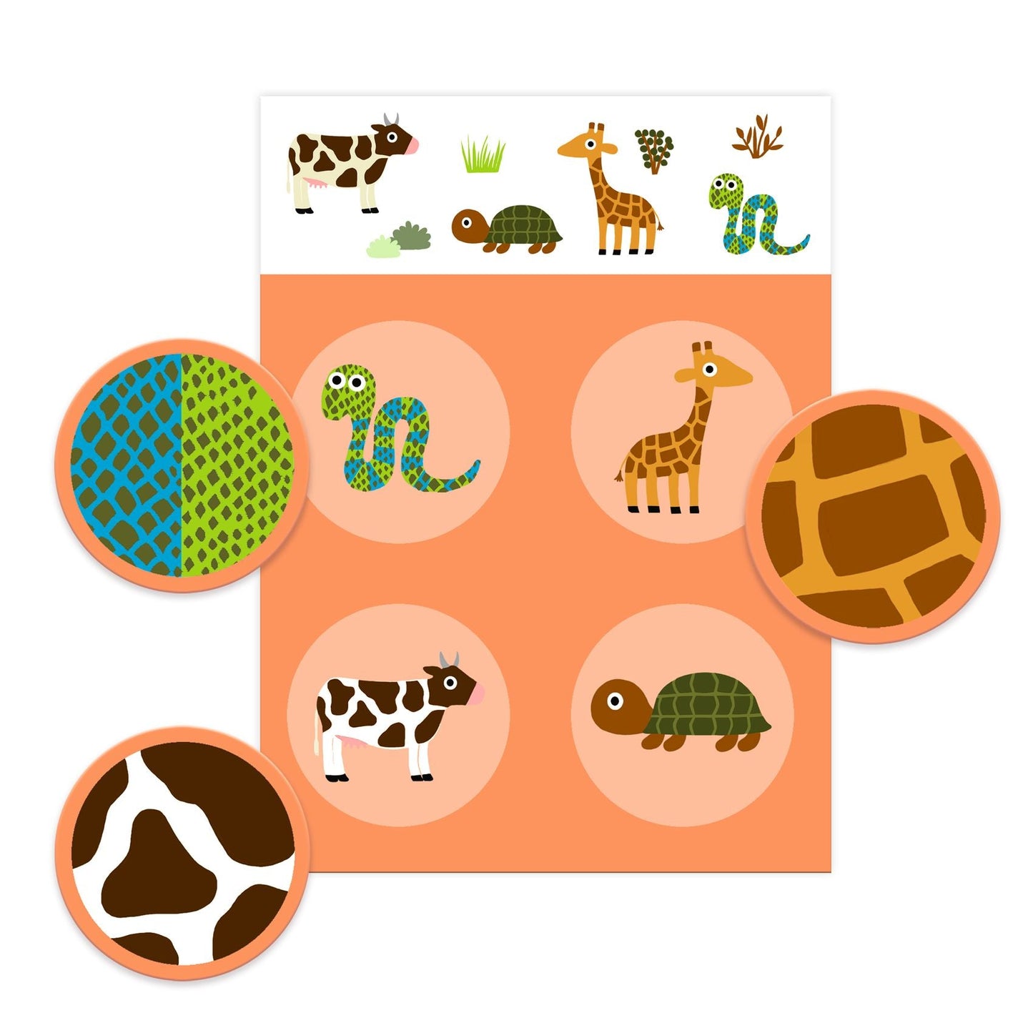 לוטו - מי מזהה את החיה?