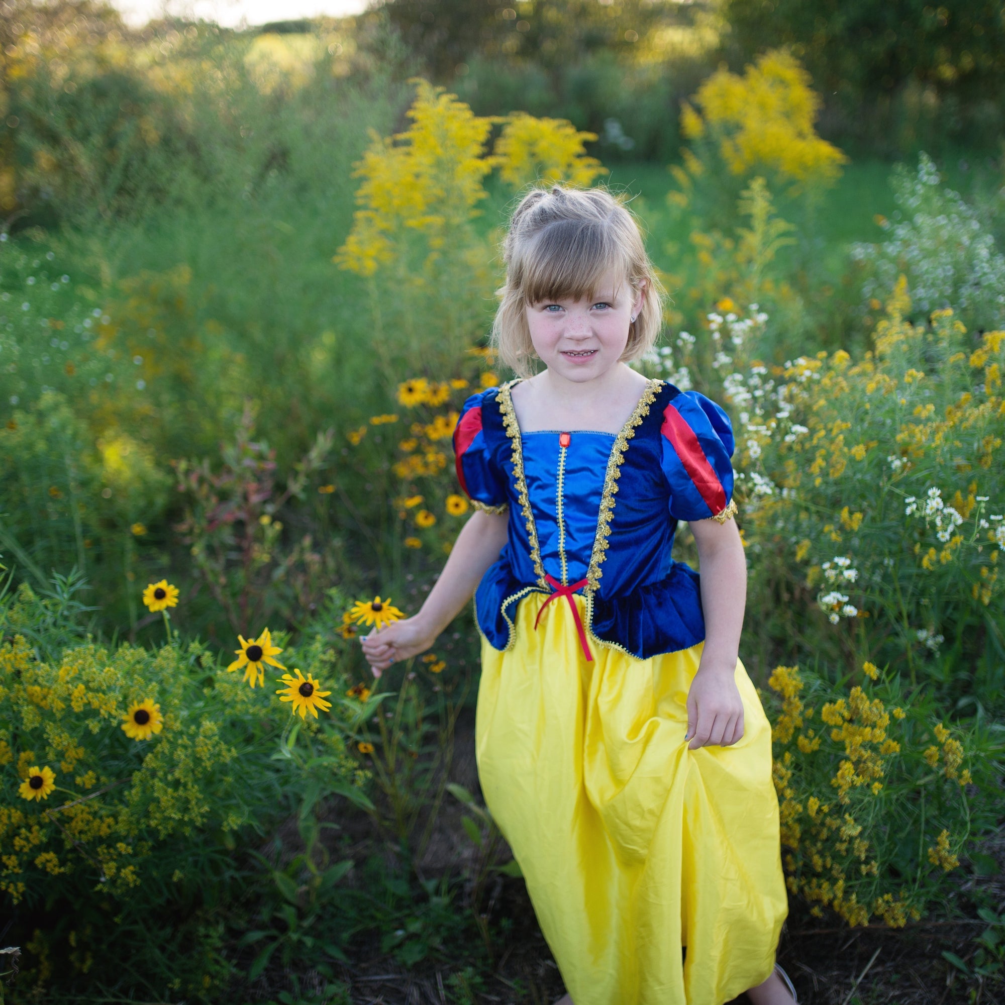 תחפושת 5/6 - שלגיה