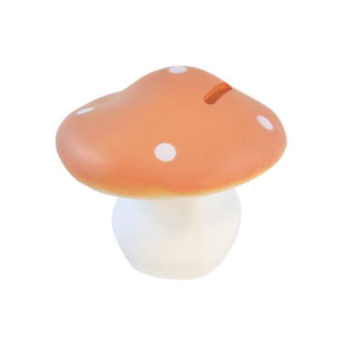 Mushroom Savings Fund – Terra Color