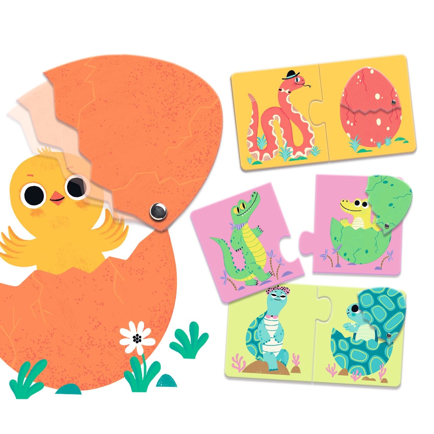 Duo Puzzle - Egg-Laying Animals