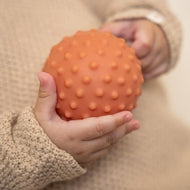 Sensory Balls Set | Little Farm