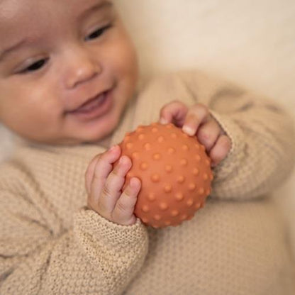 Sensory Balls Set | Little Farm