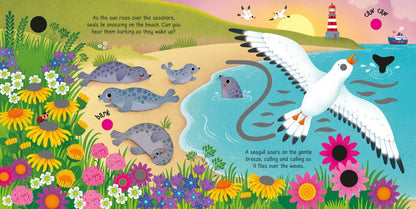Seashore Sounds