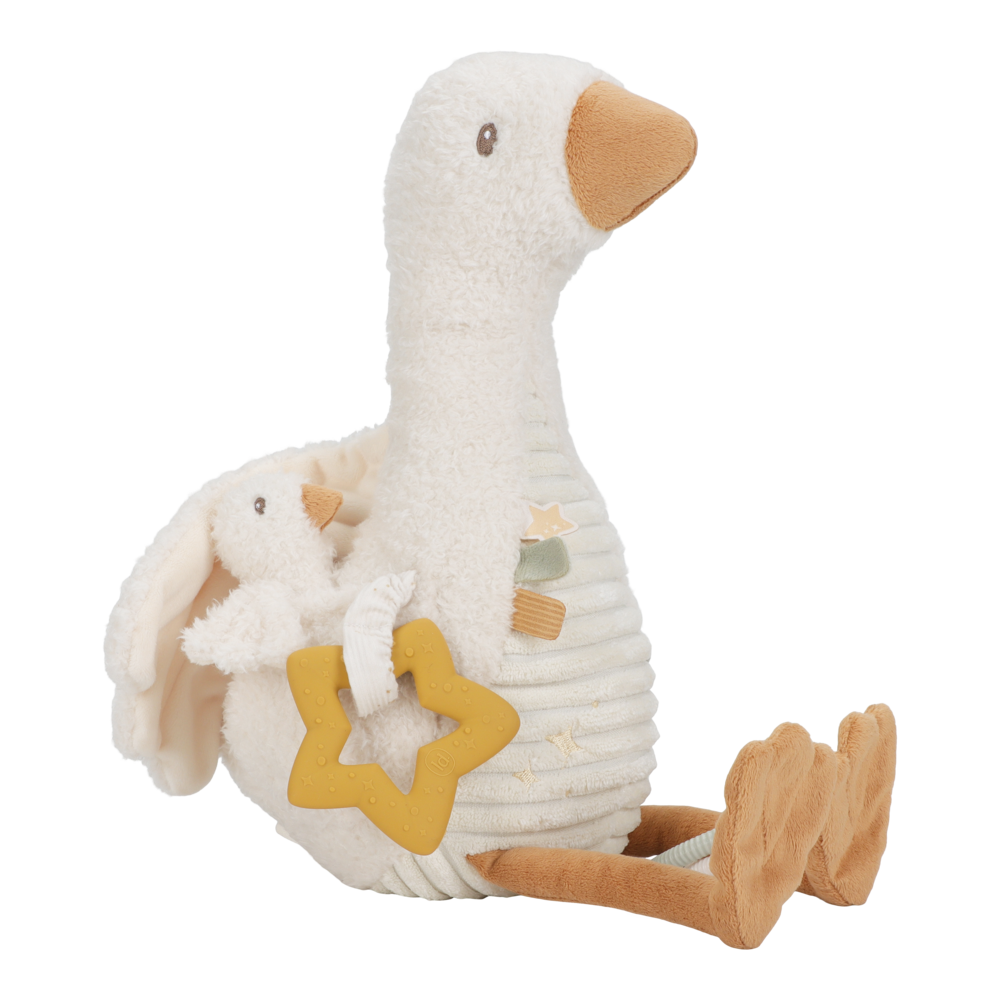 Activity Little Goose