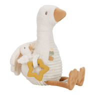 אווז קטן בפעילות