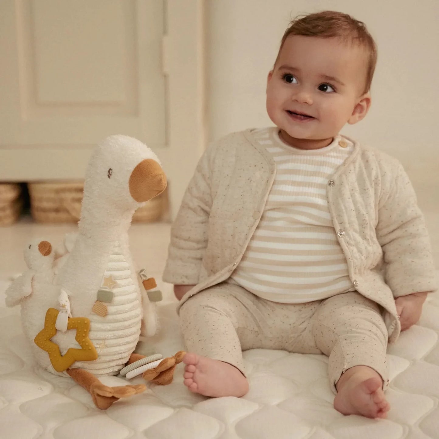 Activity Little Goose