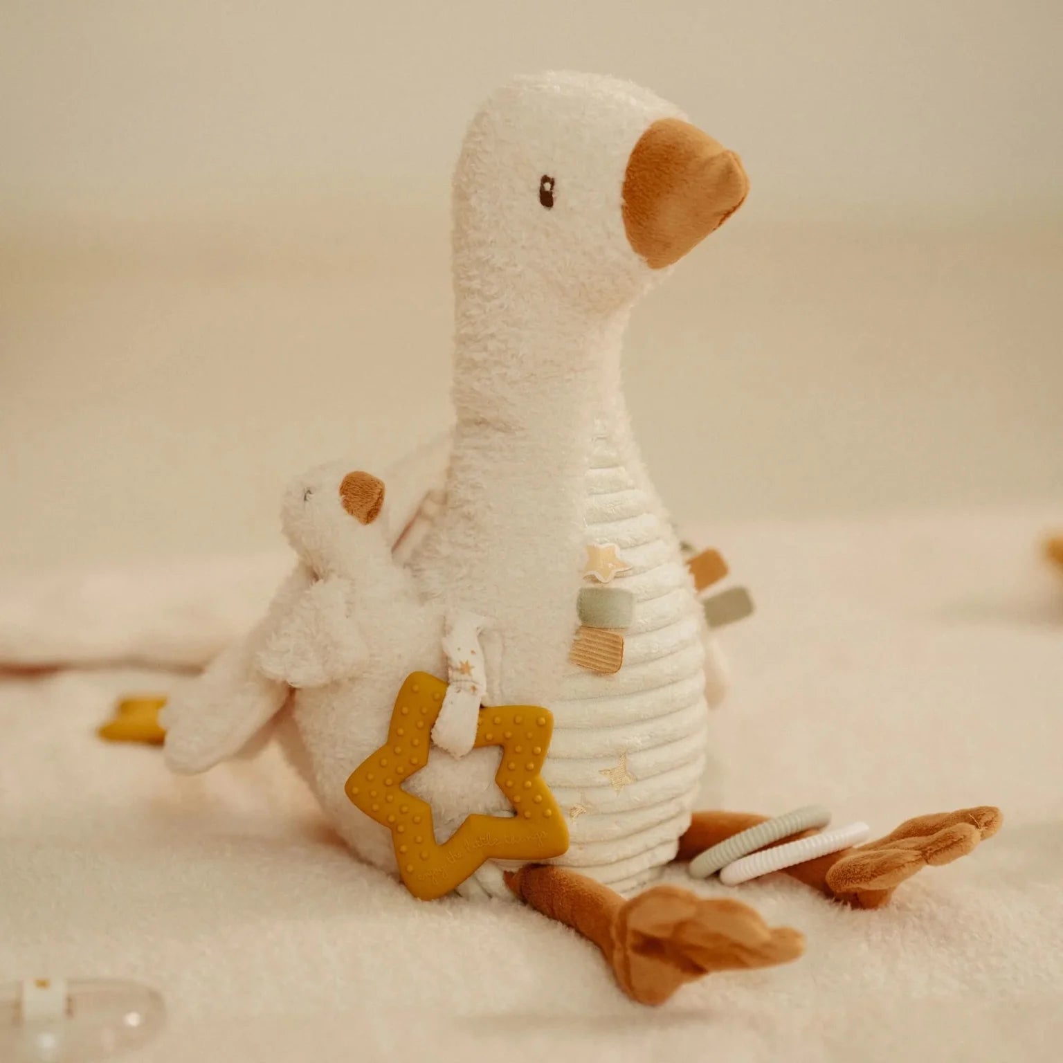 Activity Little Goose