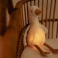 אור וקול של אווז - רעש לבן