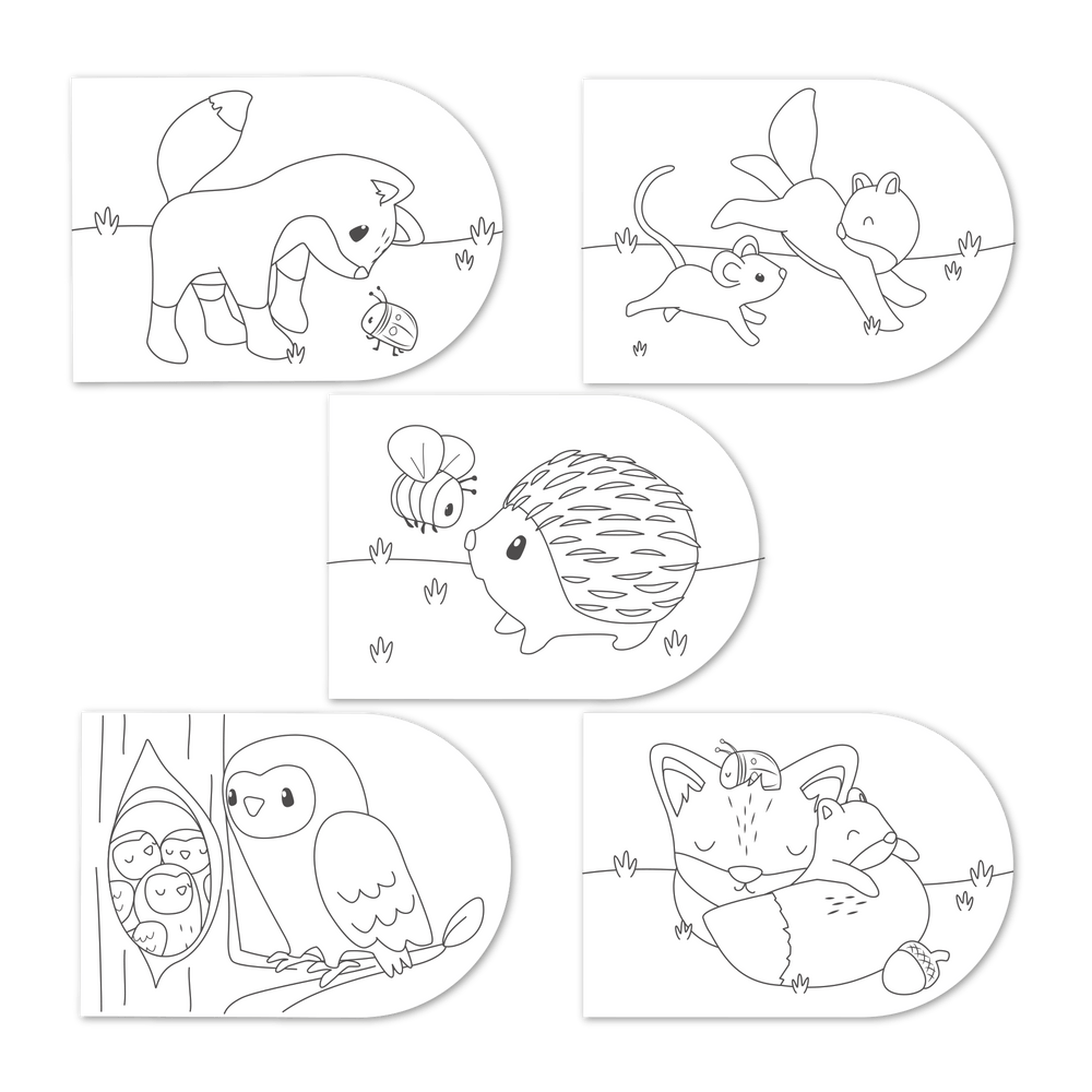 Painting Book | Forest Animals