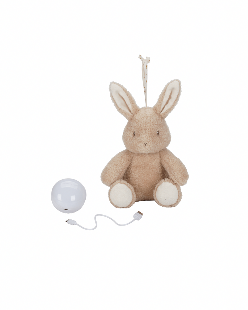 אוזן ארנב אור וקול - רעש לבן