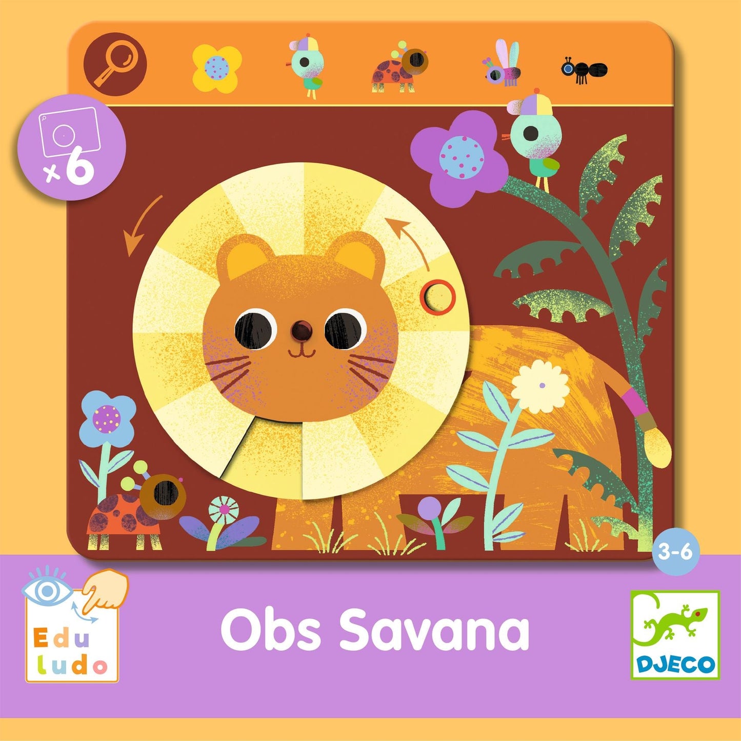 Studies - Search and Find Savanna
