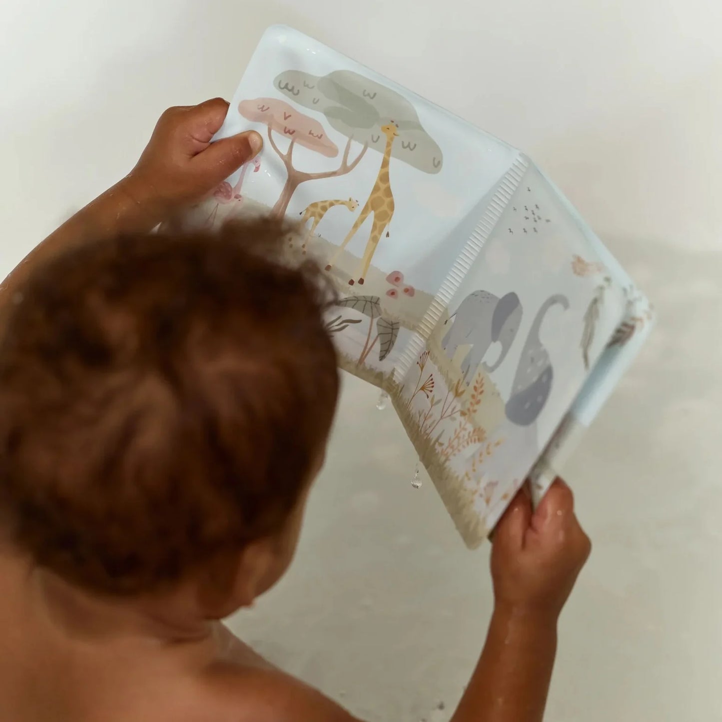 Bath Book Safari