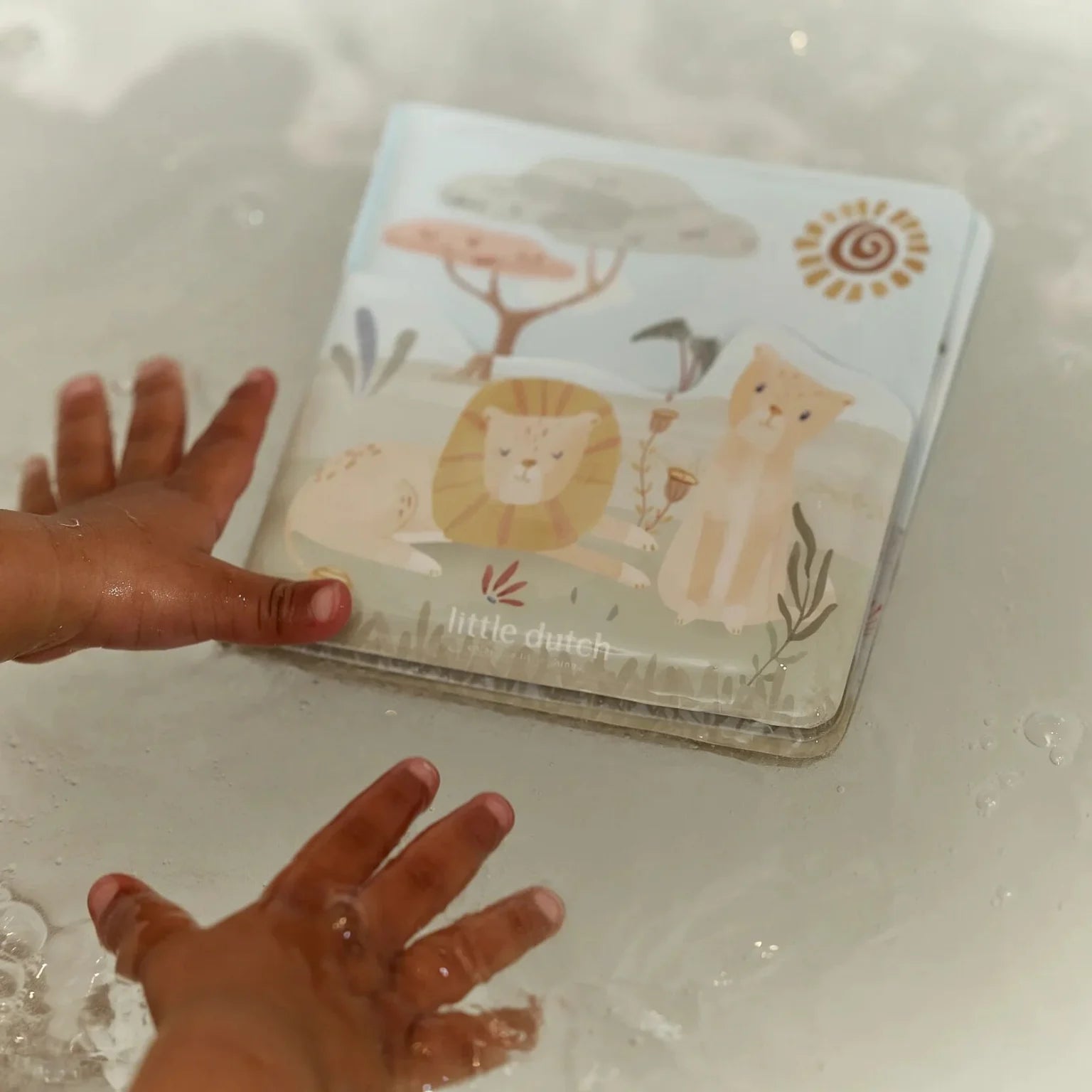 Bath Book Safari