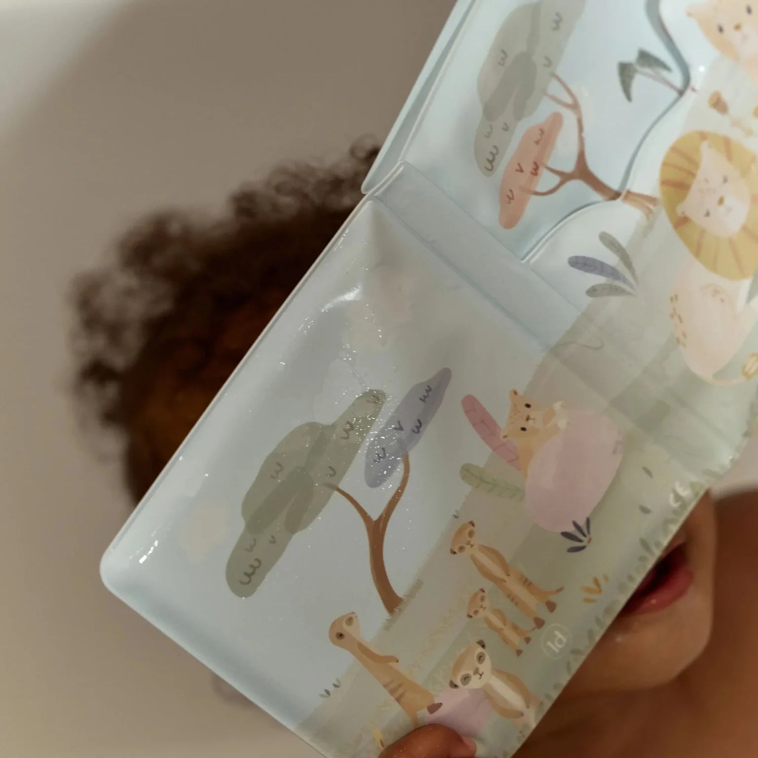 Bath Book Safari
