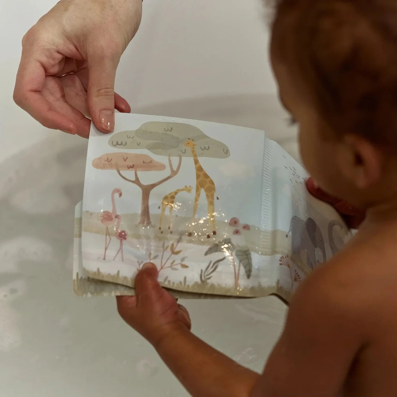 Bath Book Safari