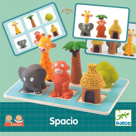 Studies - Understanding the Space Safari