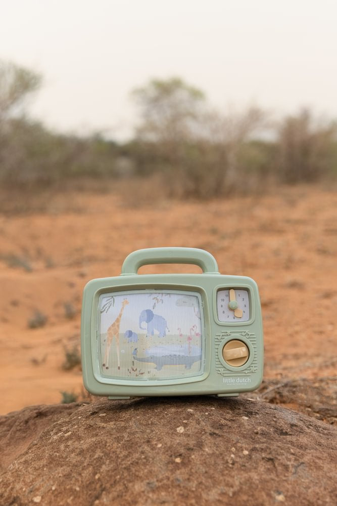 Musical TV Safari