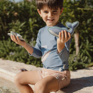 Diving Toys - Ocean