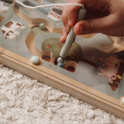 Magnetic Maze