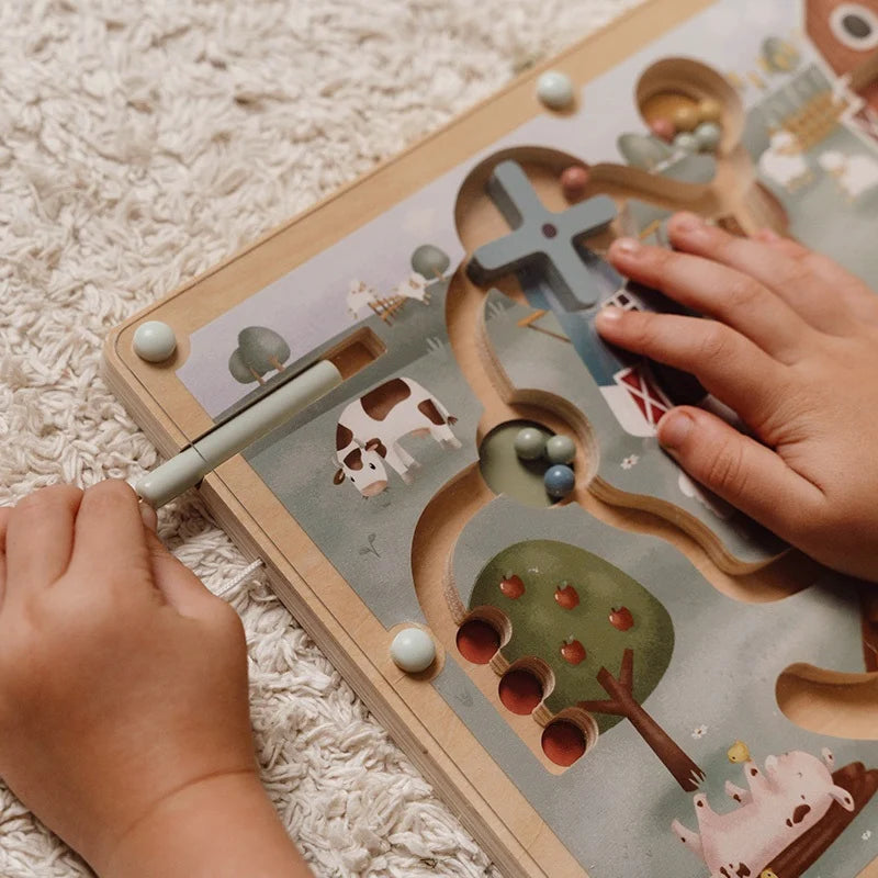 Magnetic Maze