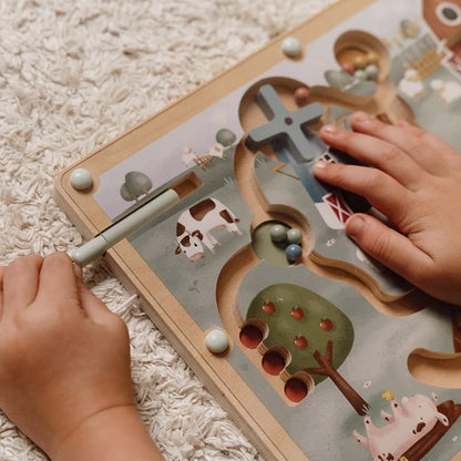 Magnetic Maze
