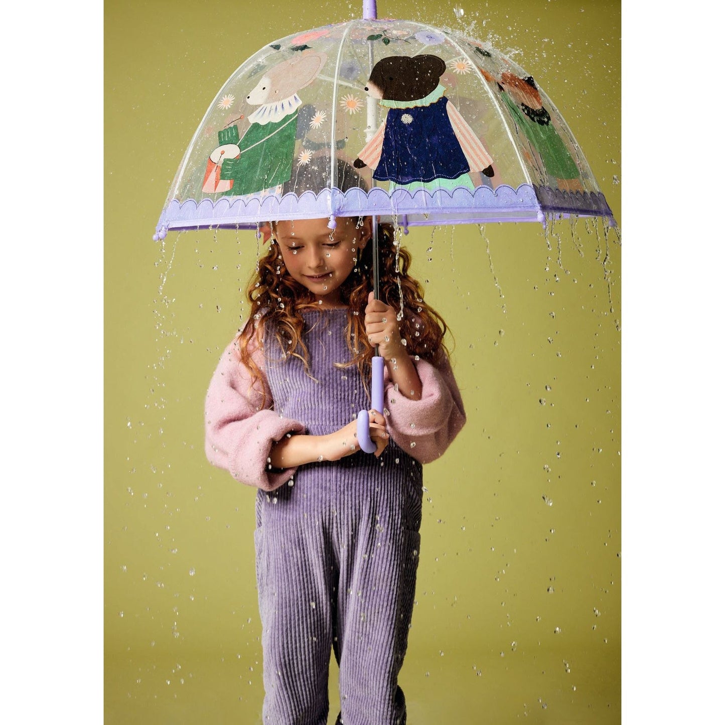 Mushroom Umbrella - Musicians