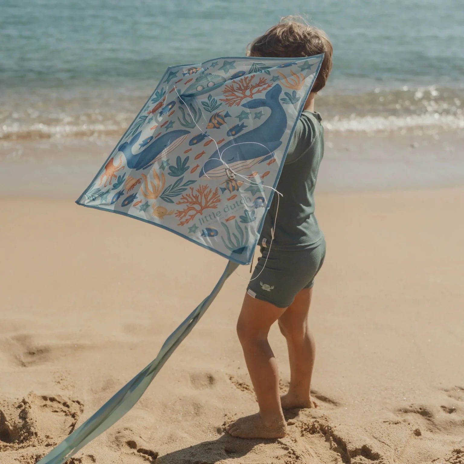 Kite - Blue