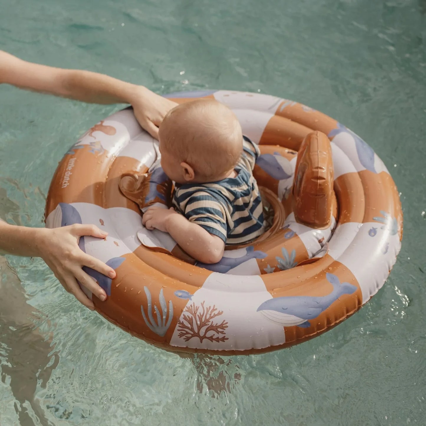 Baby Swim Wheel | Ocean World
