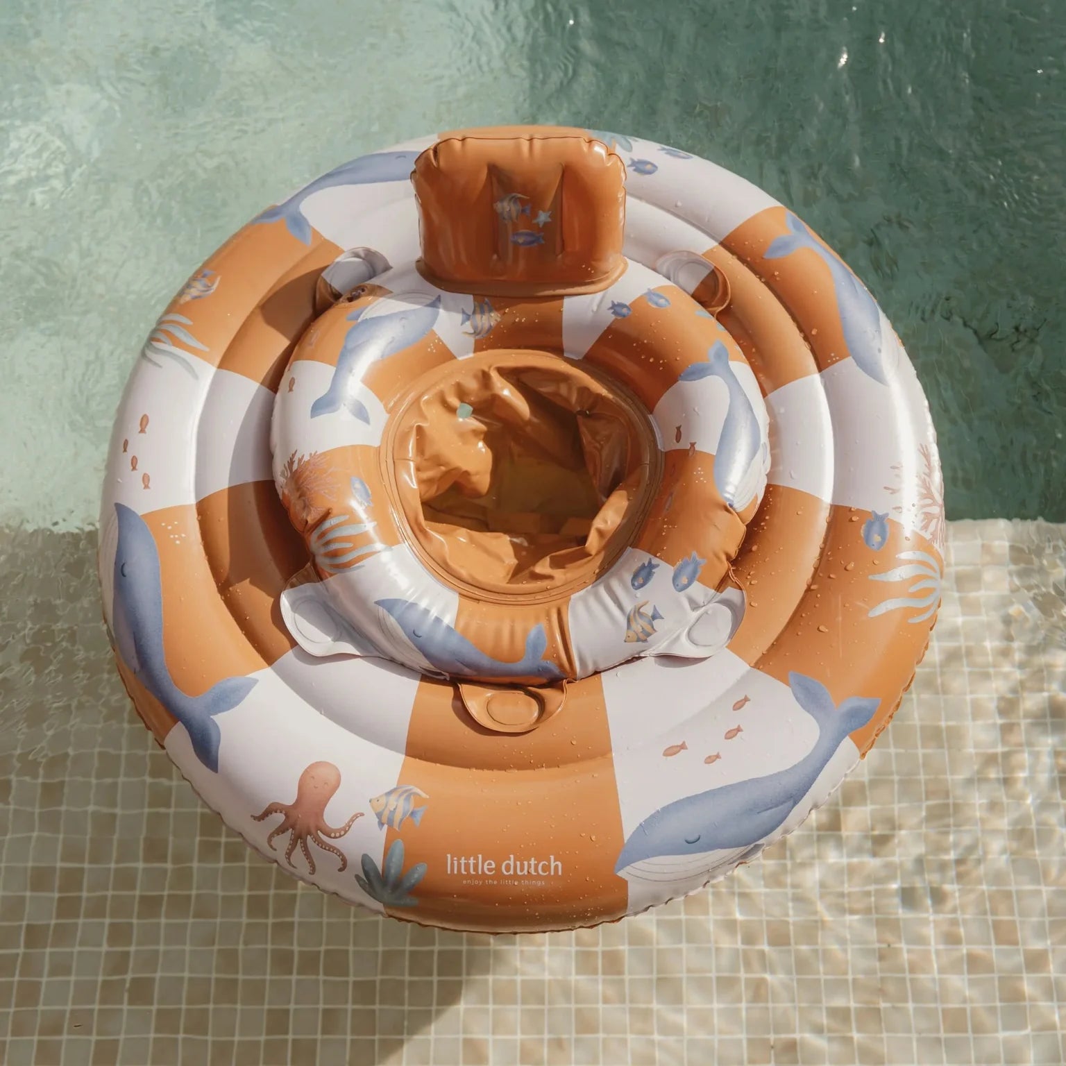 Baby Swim Wheel | Ocean World
