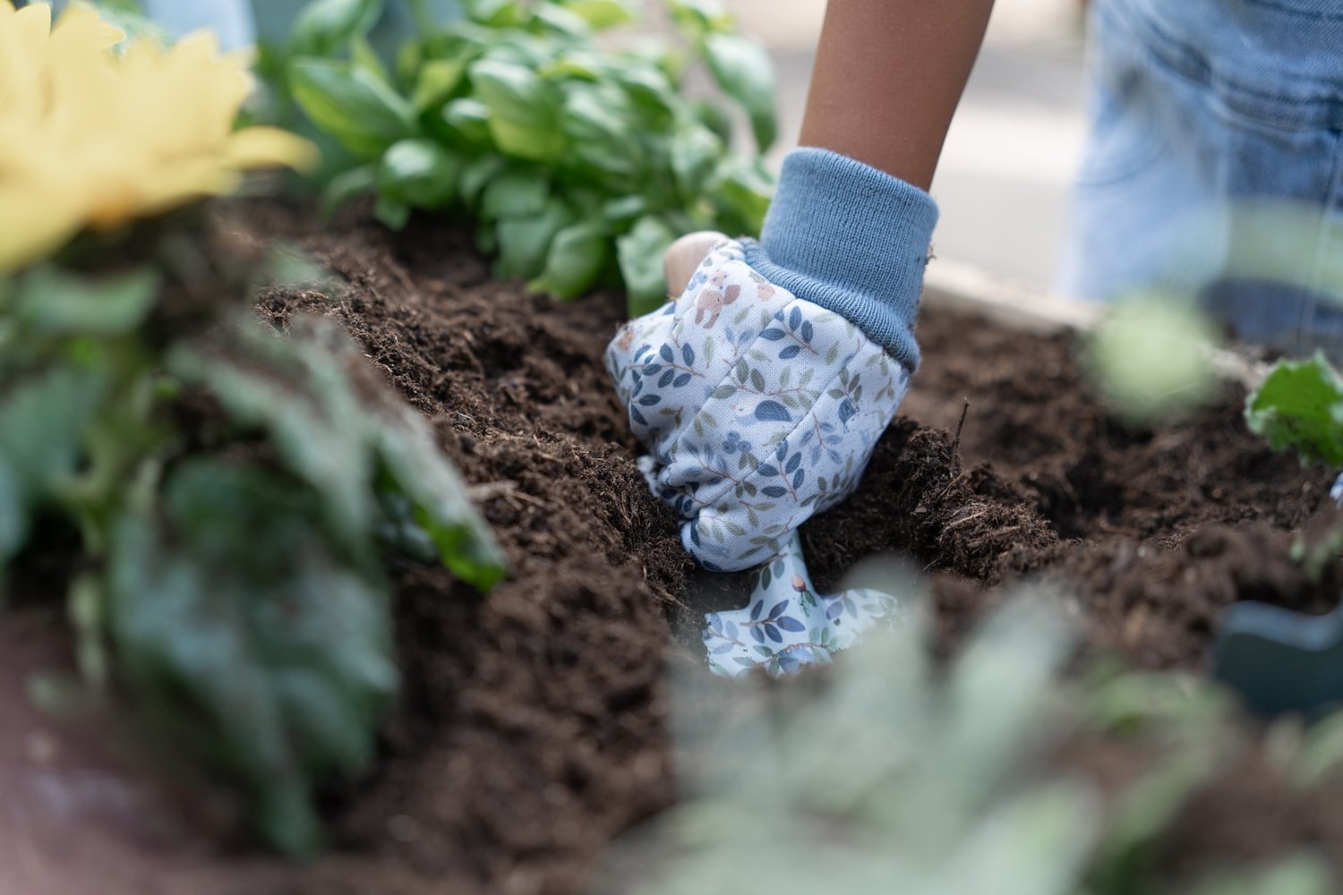 Garden Gloves - Blue