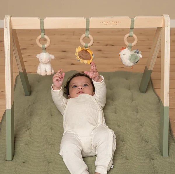 Babygym | Little Farm