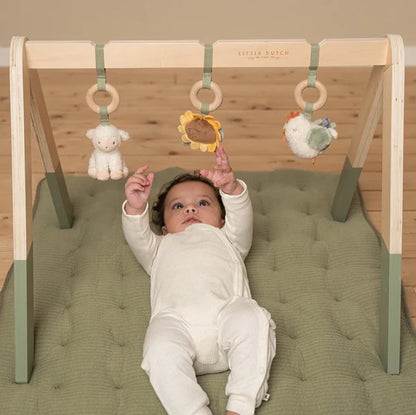 Babygym | Little Farm
