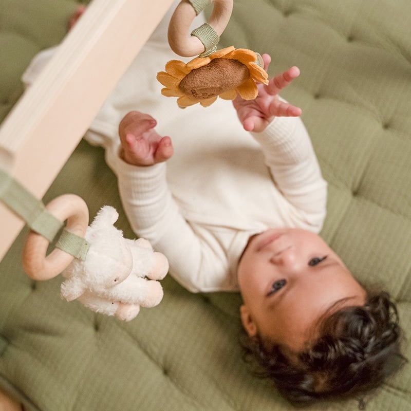 Babygym | Little Farm