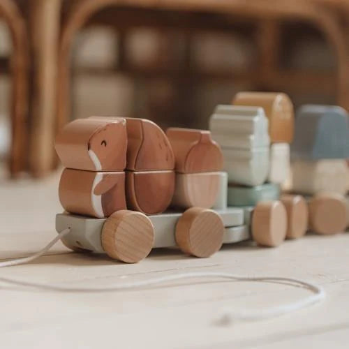 Wooden Block Train | Forest Friends