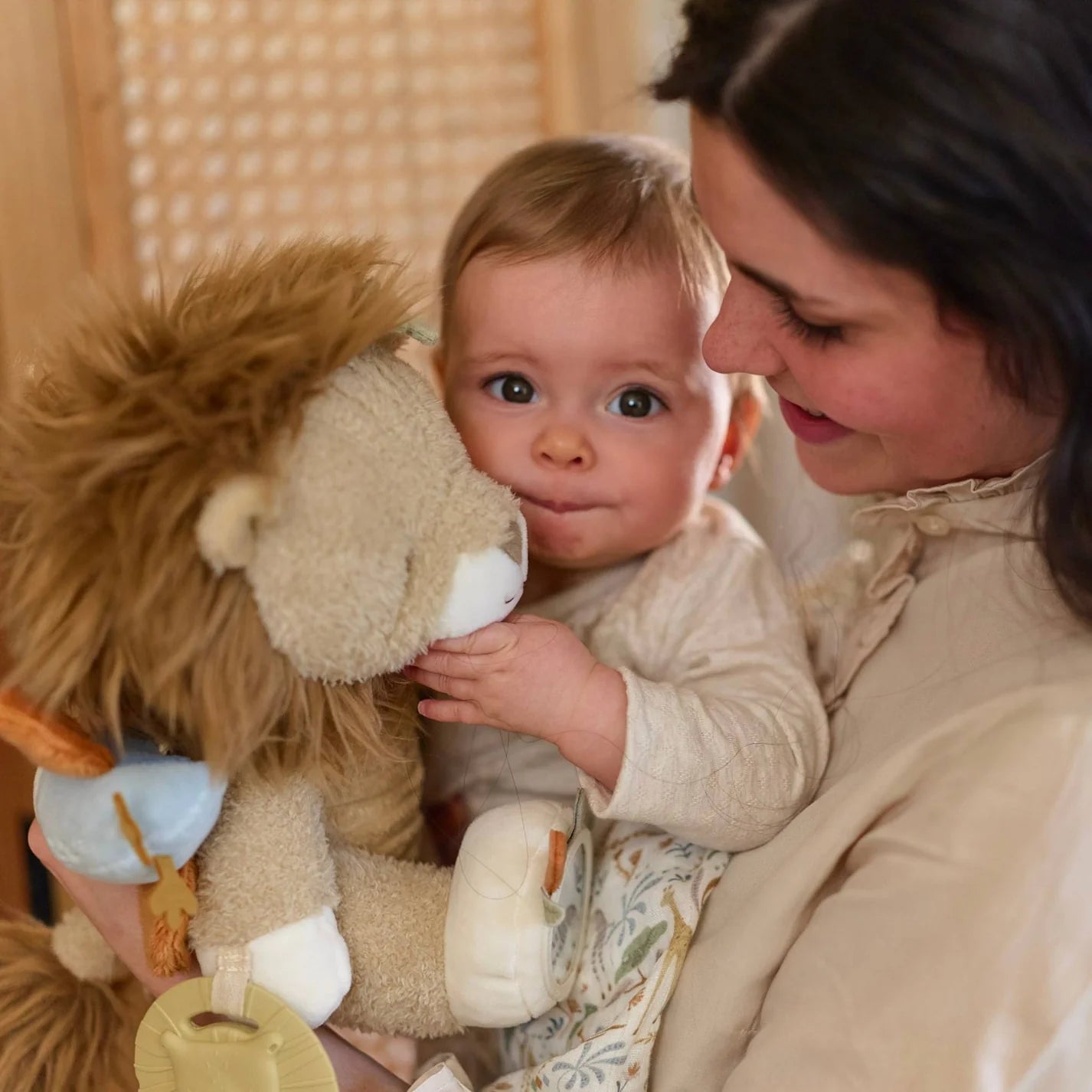 Activity Toy Lion
