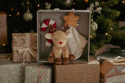 Gift Box | Christmas