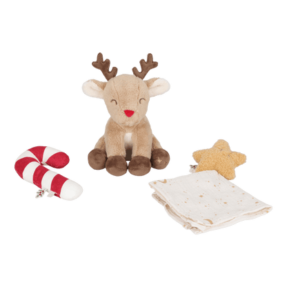 Gift Box | Christmas